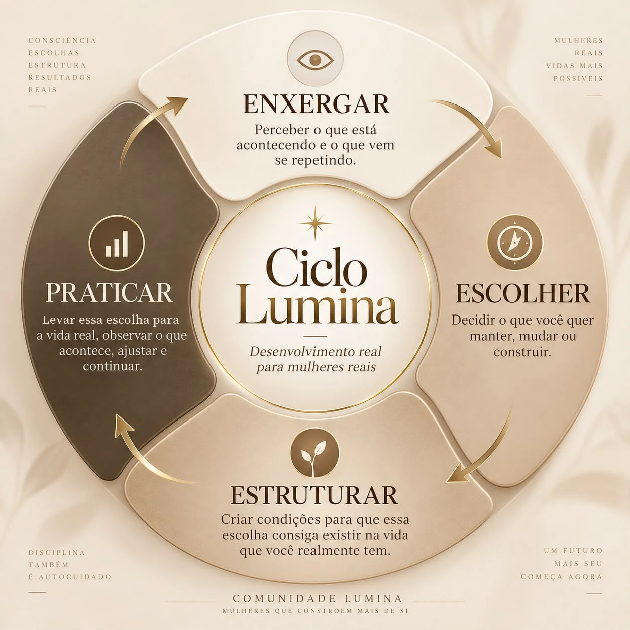 Ciclo Lumina: enxergar, escolher, estruturar e praticar